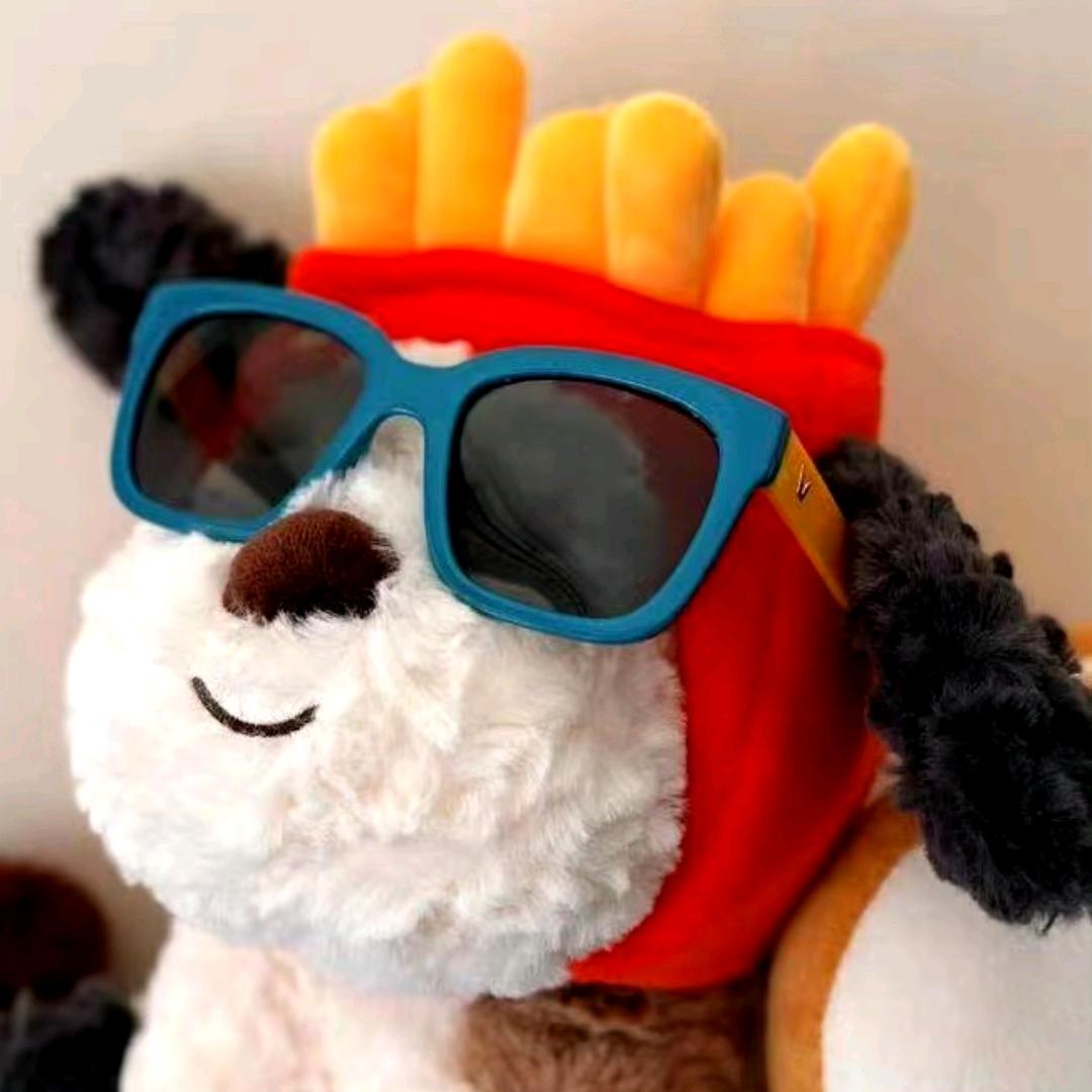 超爱薯条的Lily-