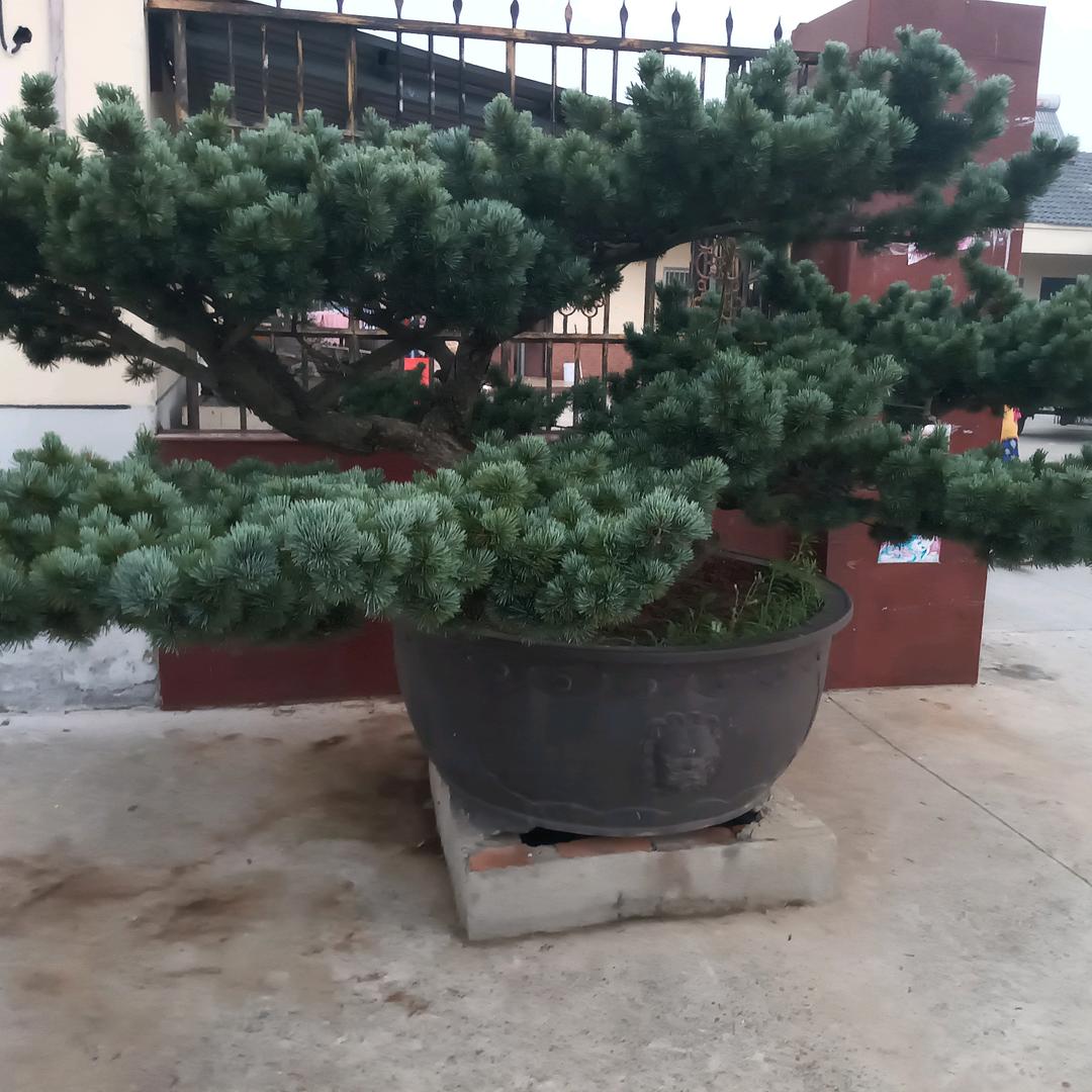 缘分