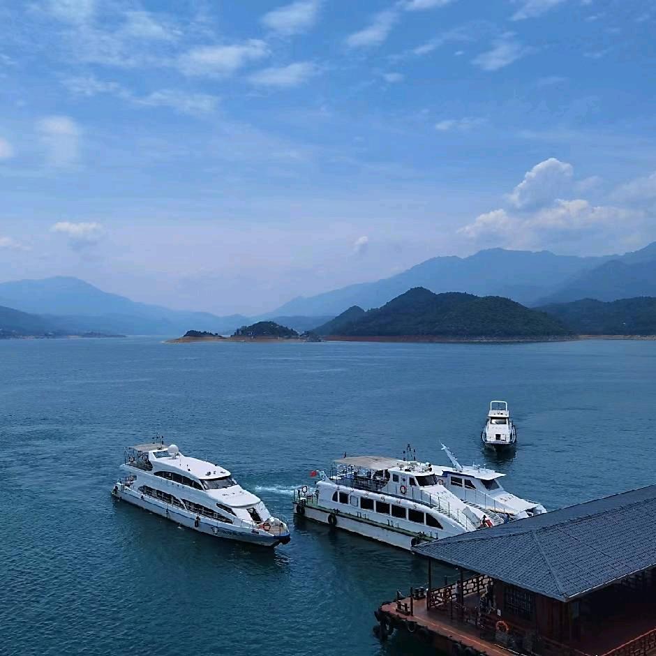 贺泽