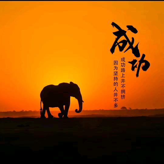 年轻的心