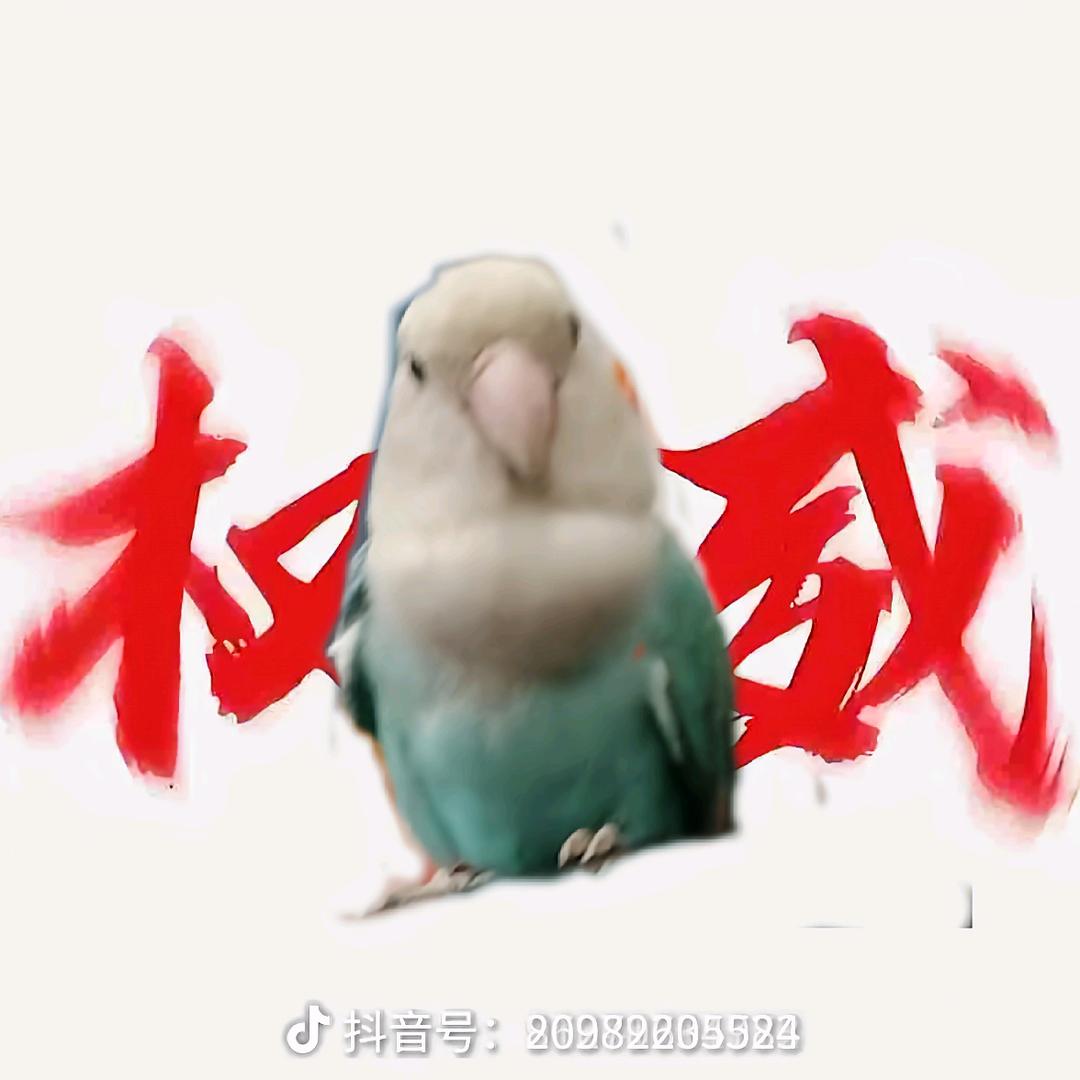 兴火燎原