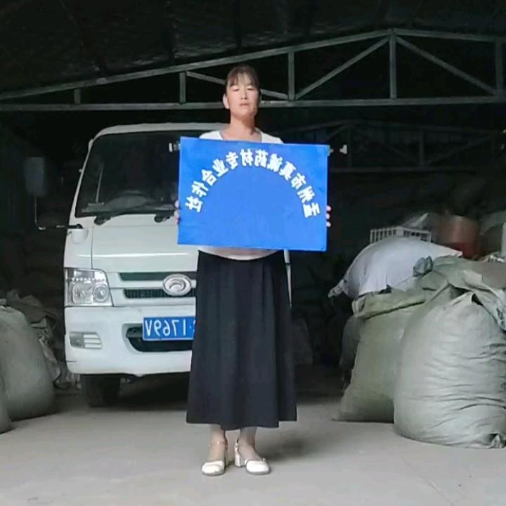 朱家三妹