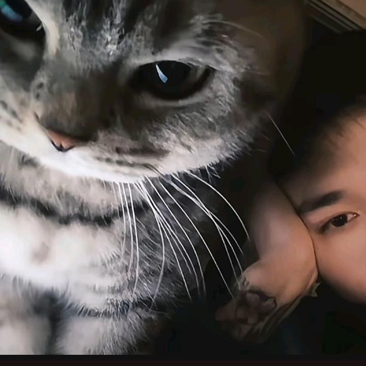 宁寧