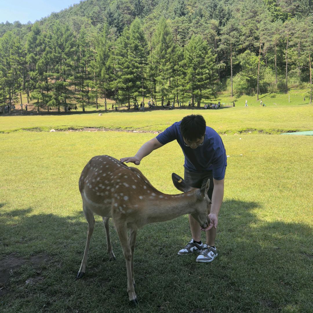 翼柒尚小红书杨校长