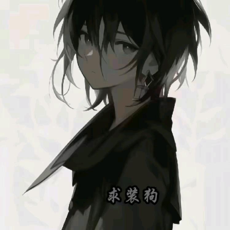 求装狗