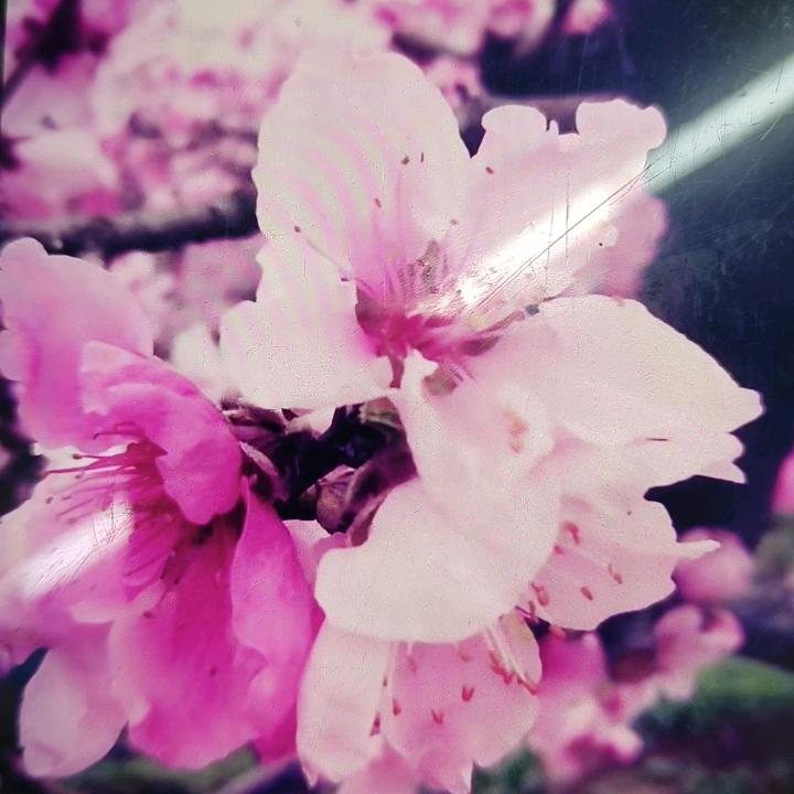 𝒀𝑳𝑮🍊任强