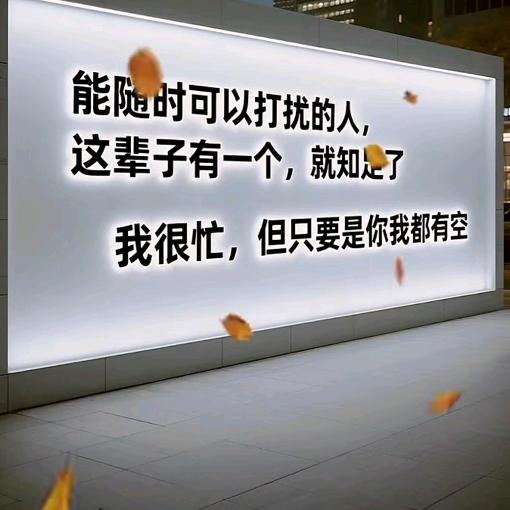 聪慧