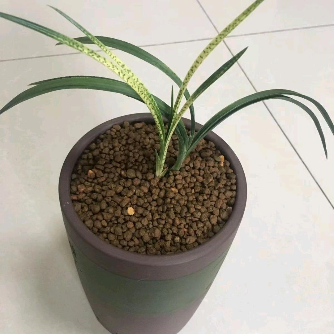 鸡毛换糖