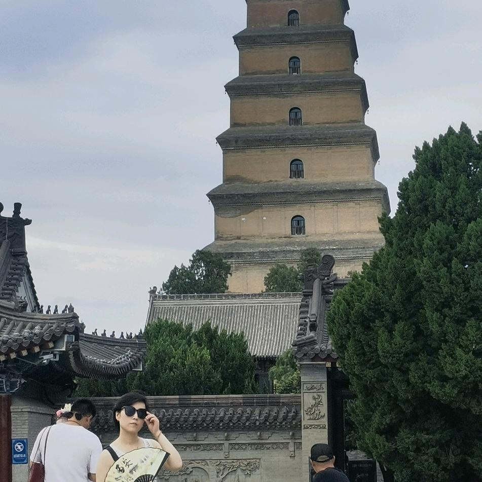 九隆童泰.小禾谷