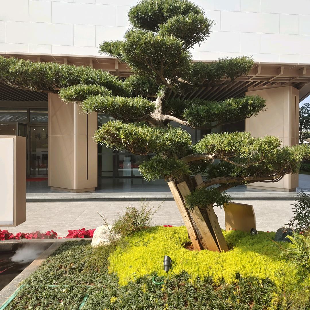 🥀⃟半醒᭄半醉ꦻ半浮生