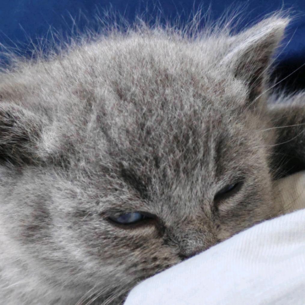 。。。。。。。？