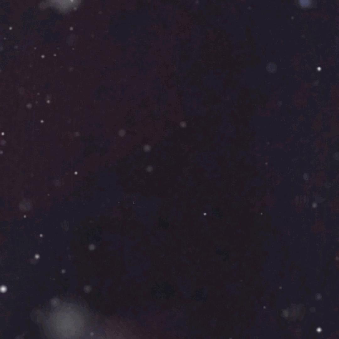 东方明珠