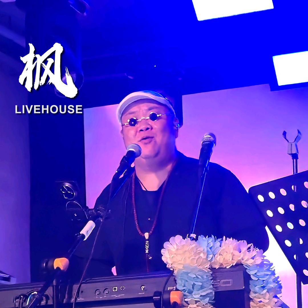 爱玩音乐的震林