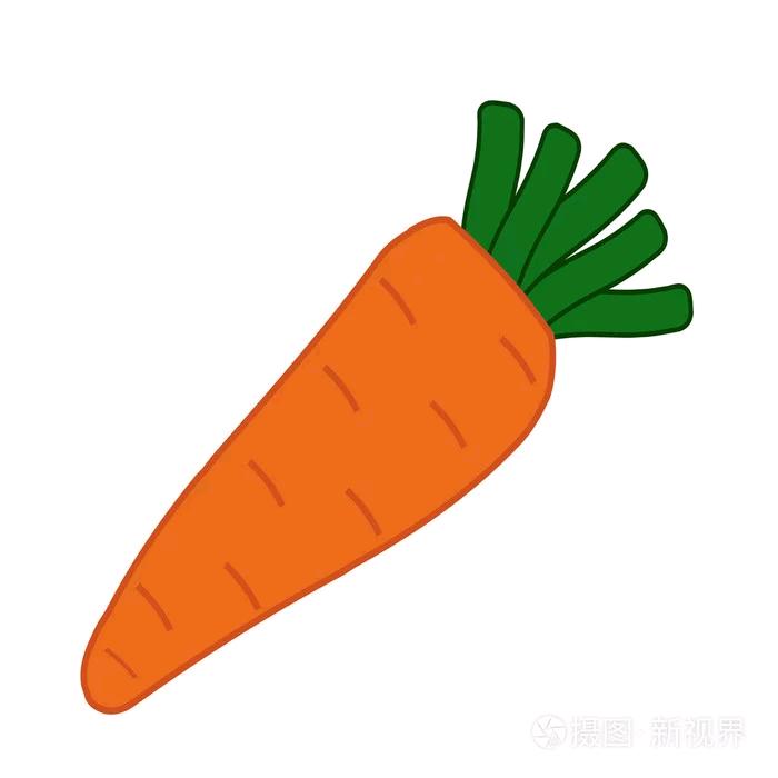 只吃胡萝卜🥕⁵²⁶