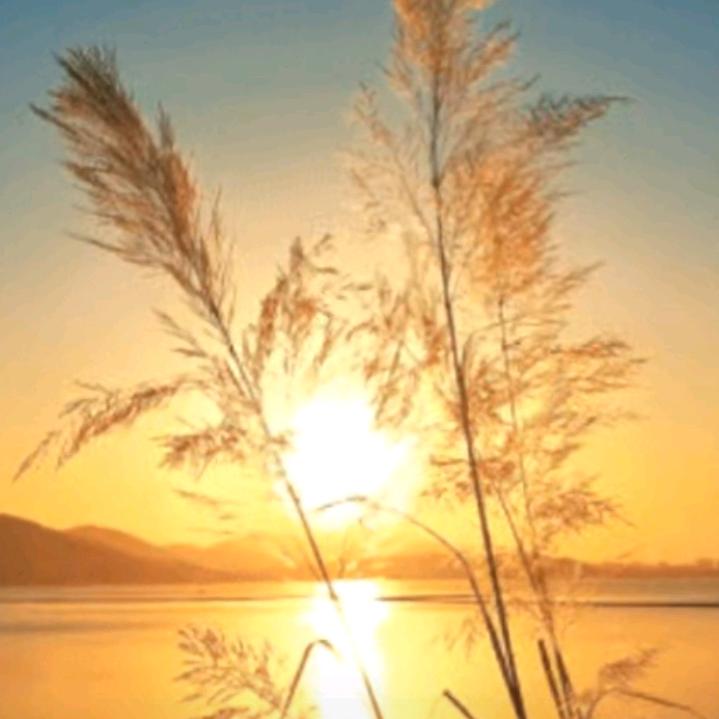 东海润达