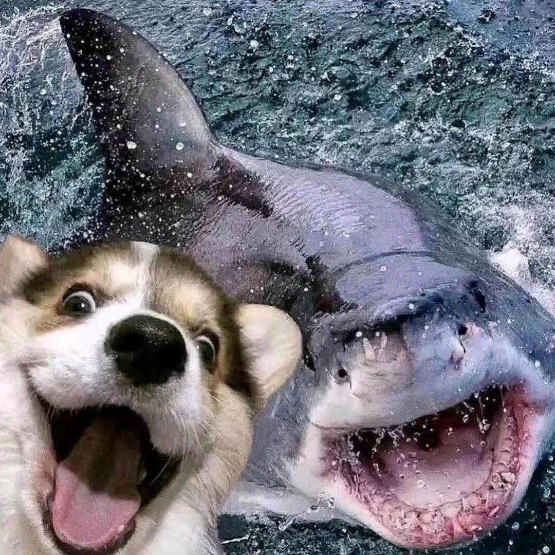 他在
