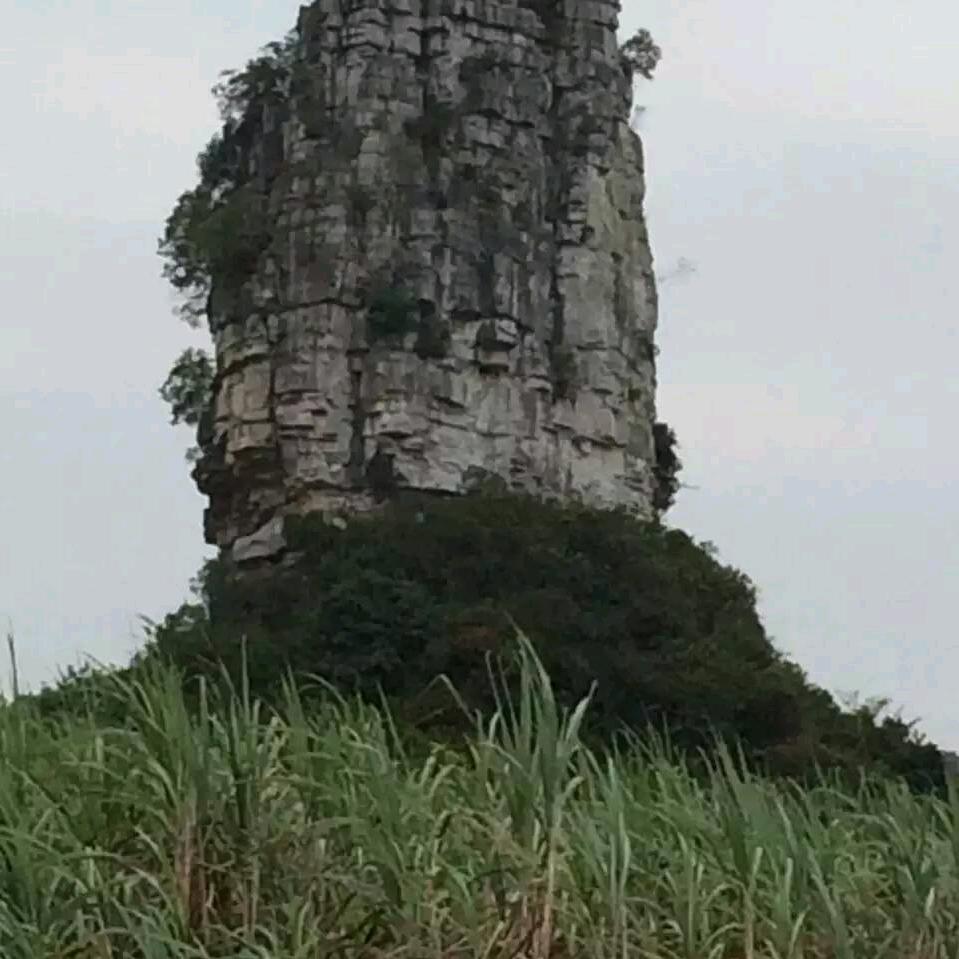 奋斗