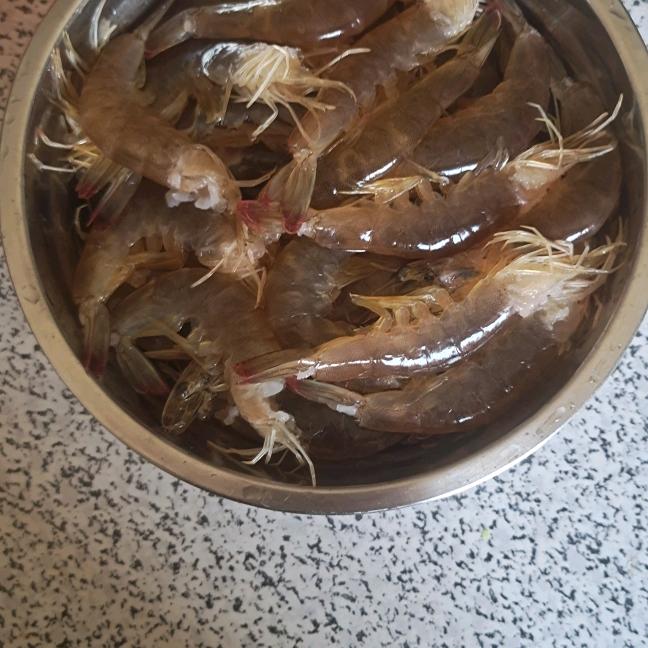 海阔天空陆