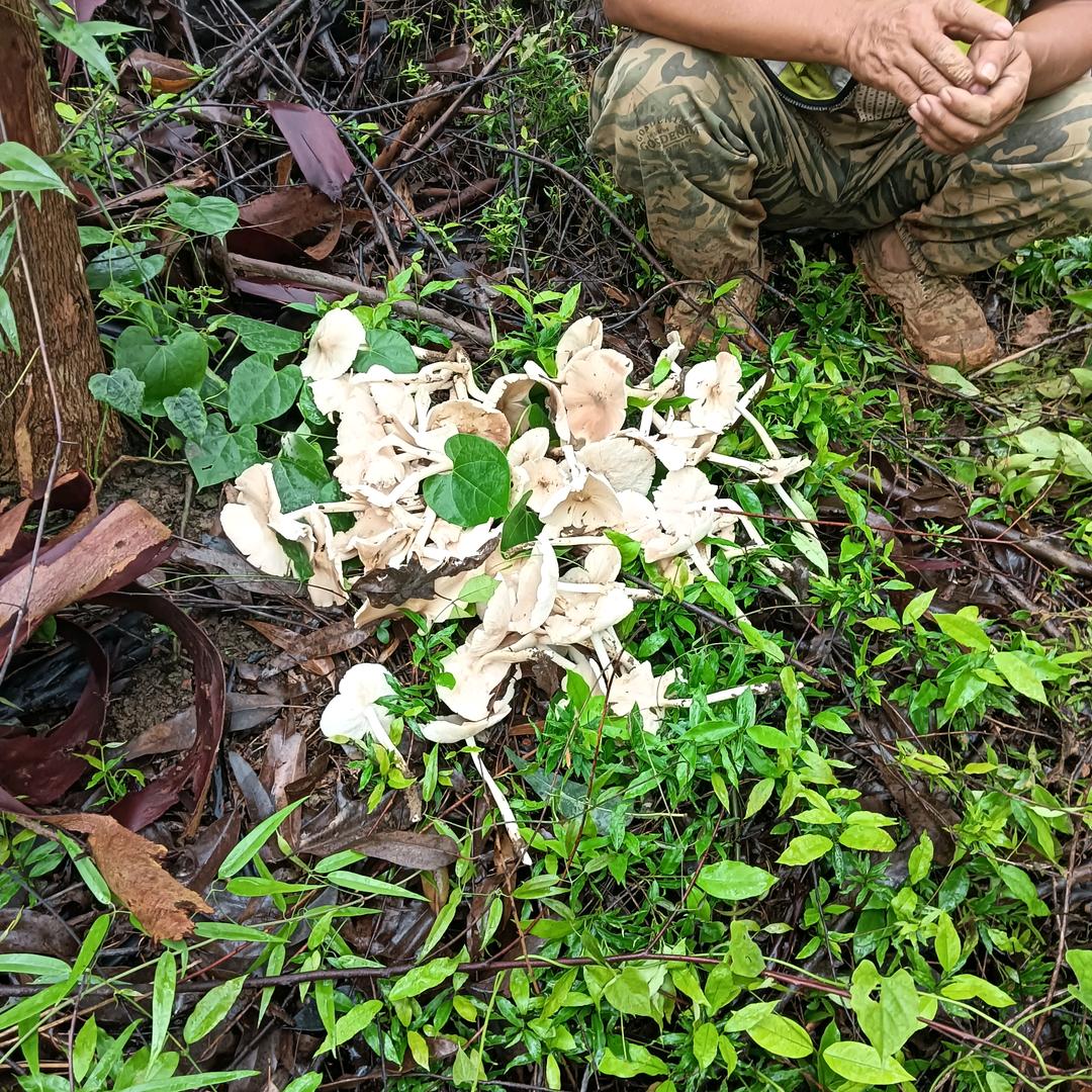 @风雨兼程&
