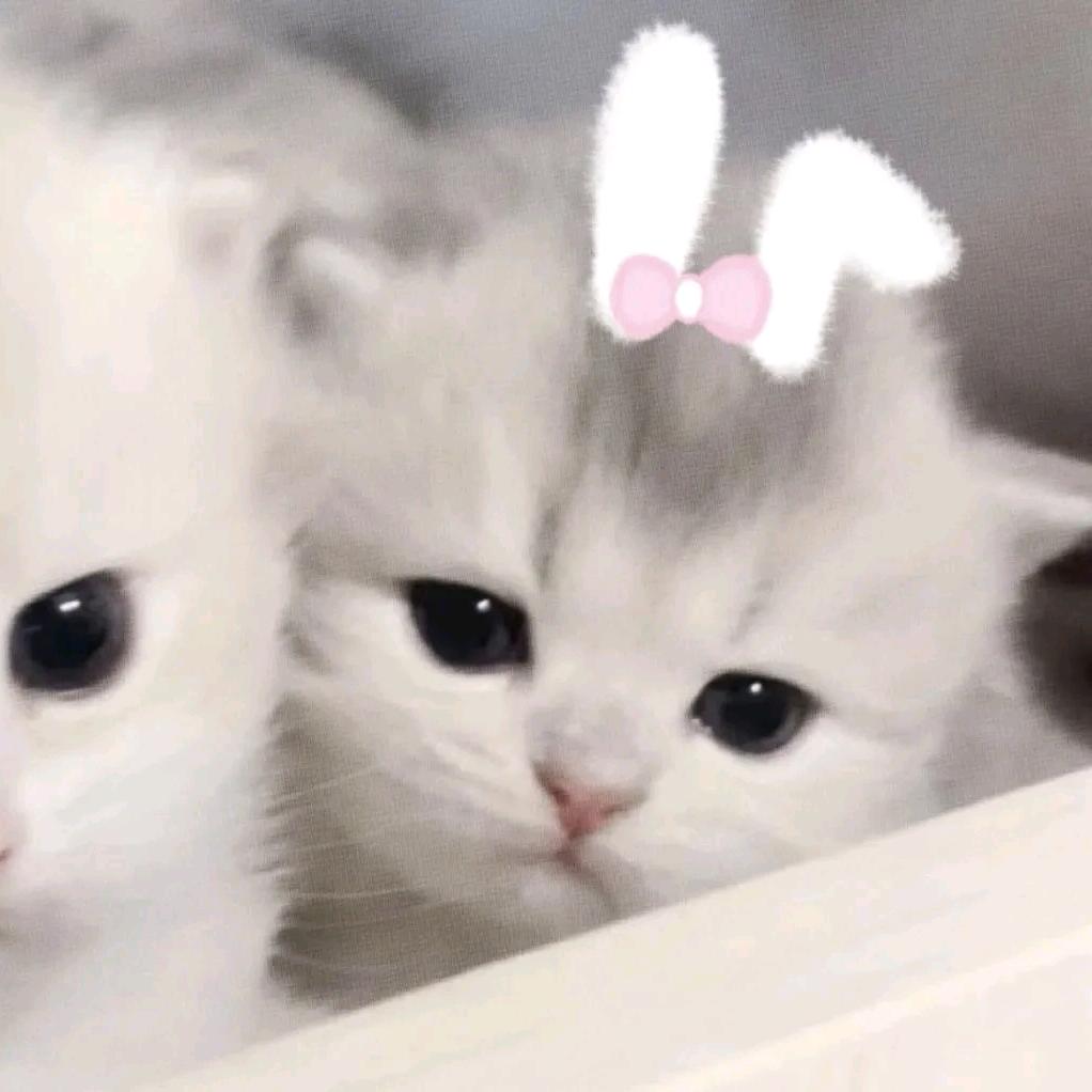 小妍星
