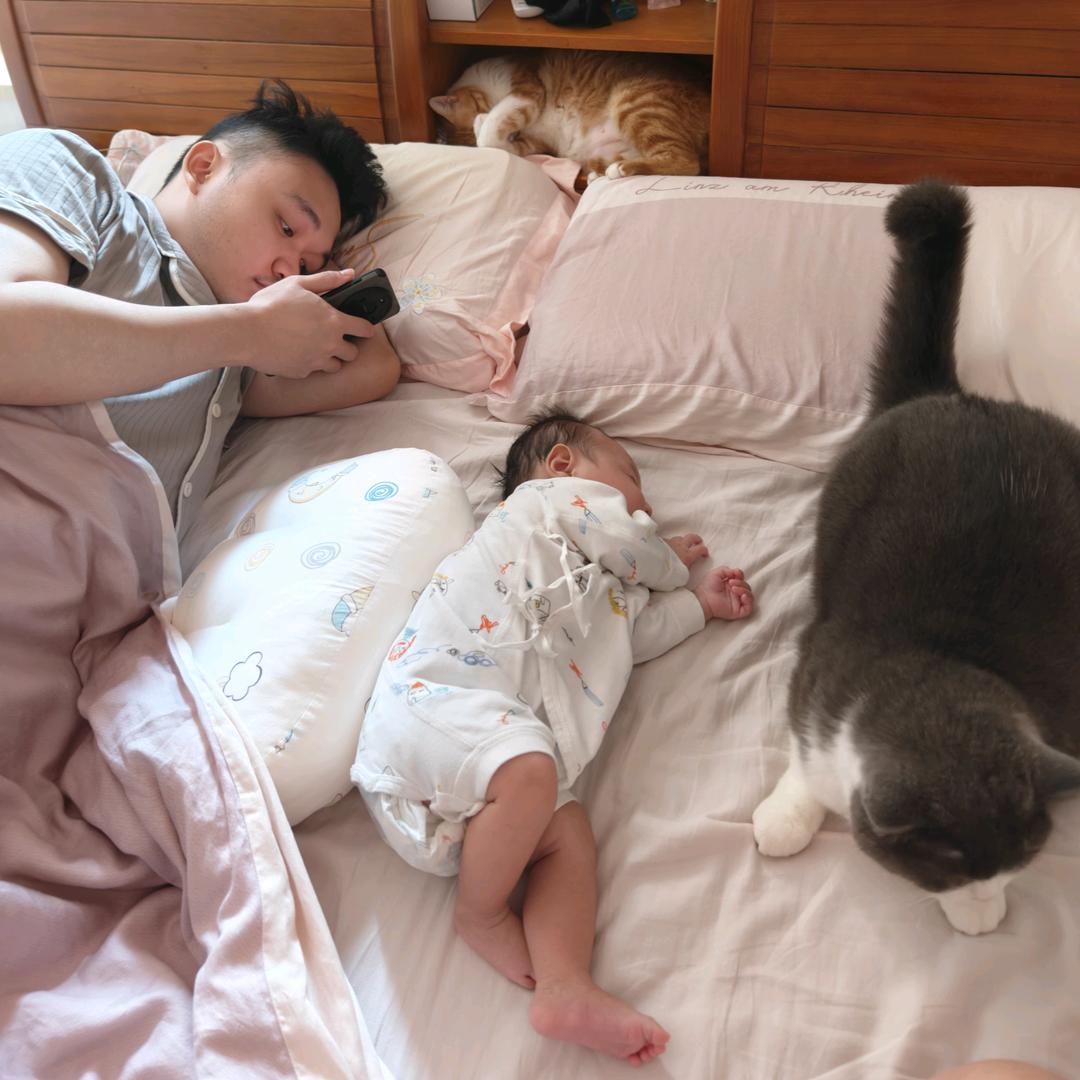 我的龙宝和两只猫咪