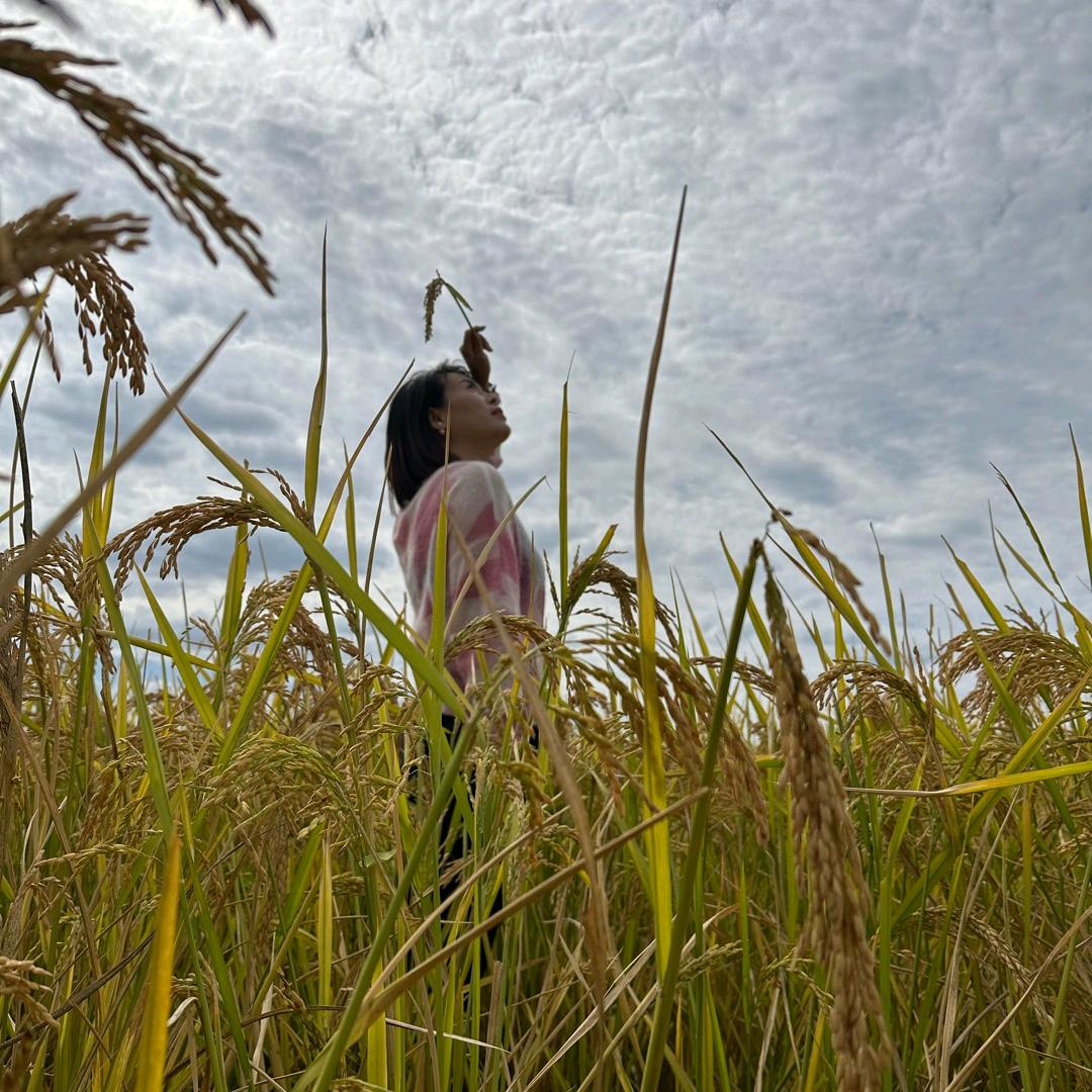 新昌瑜涛吊装（吊车、登高车）张同学