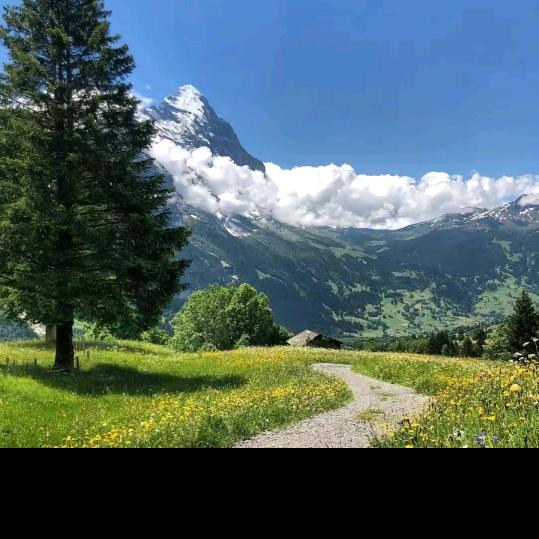 激情奋斗(✿◡‿◡)*