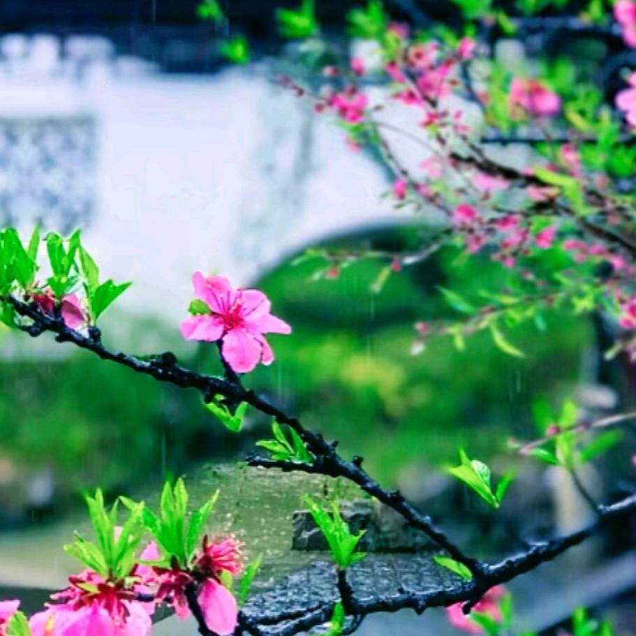 马马乎乎