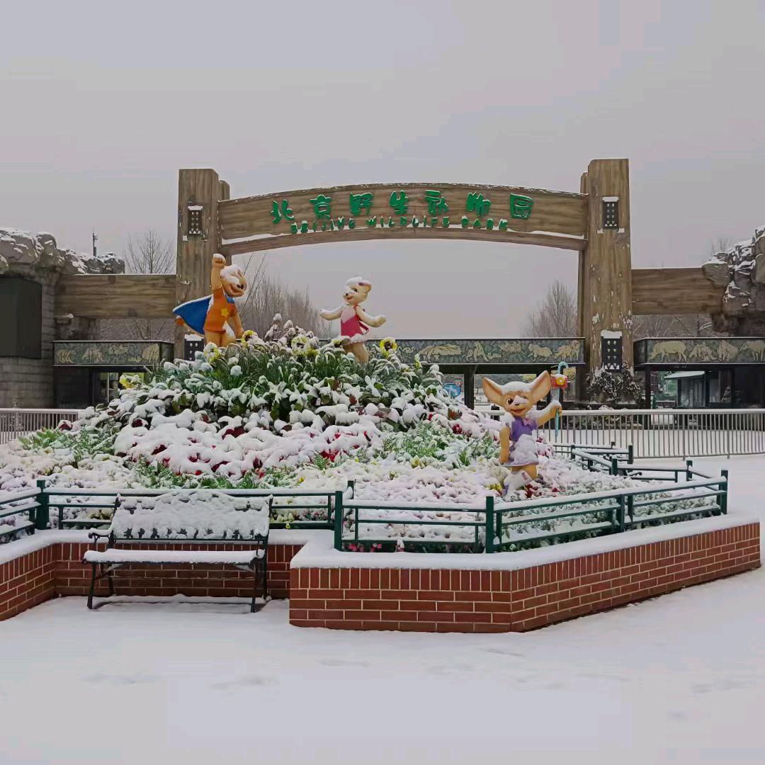 相信🇨🇳自己