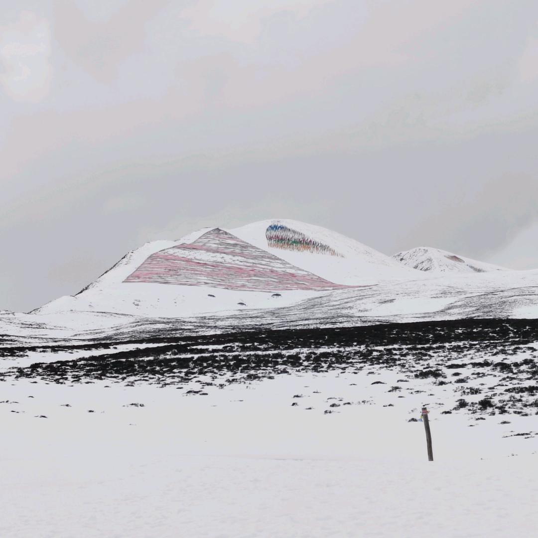 此情可待成追忆