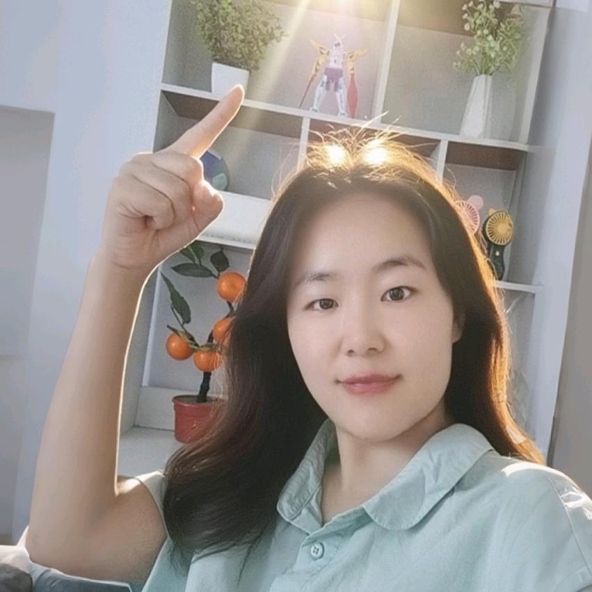 太阳花