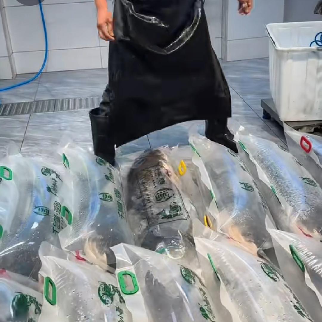 千岛湖水产鱼🐠🐠