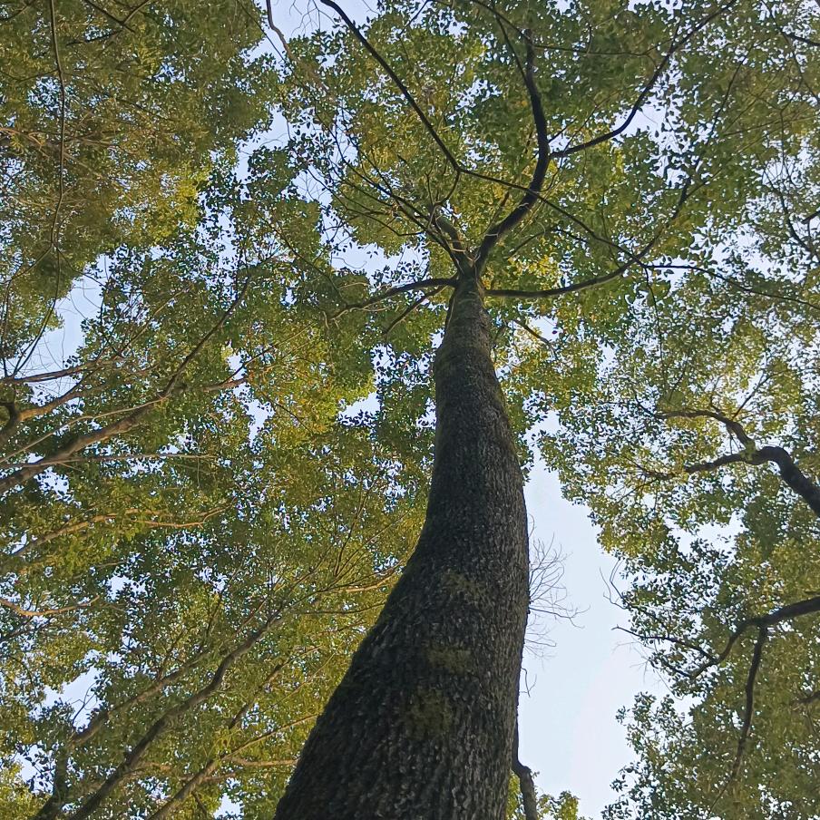 🌈最熟悉的陌生人👉
