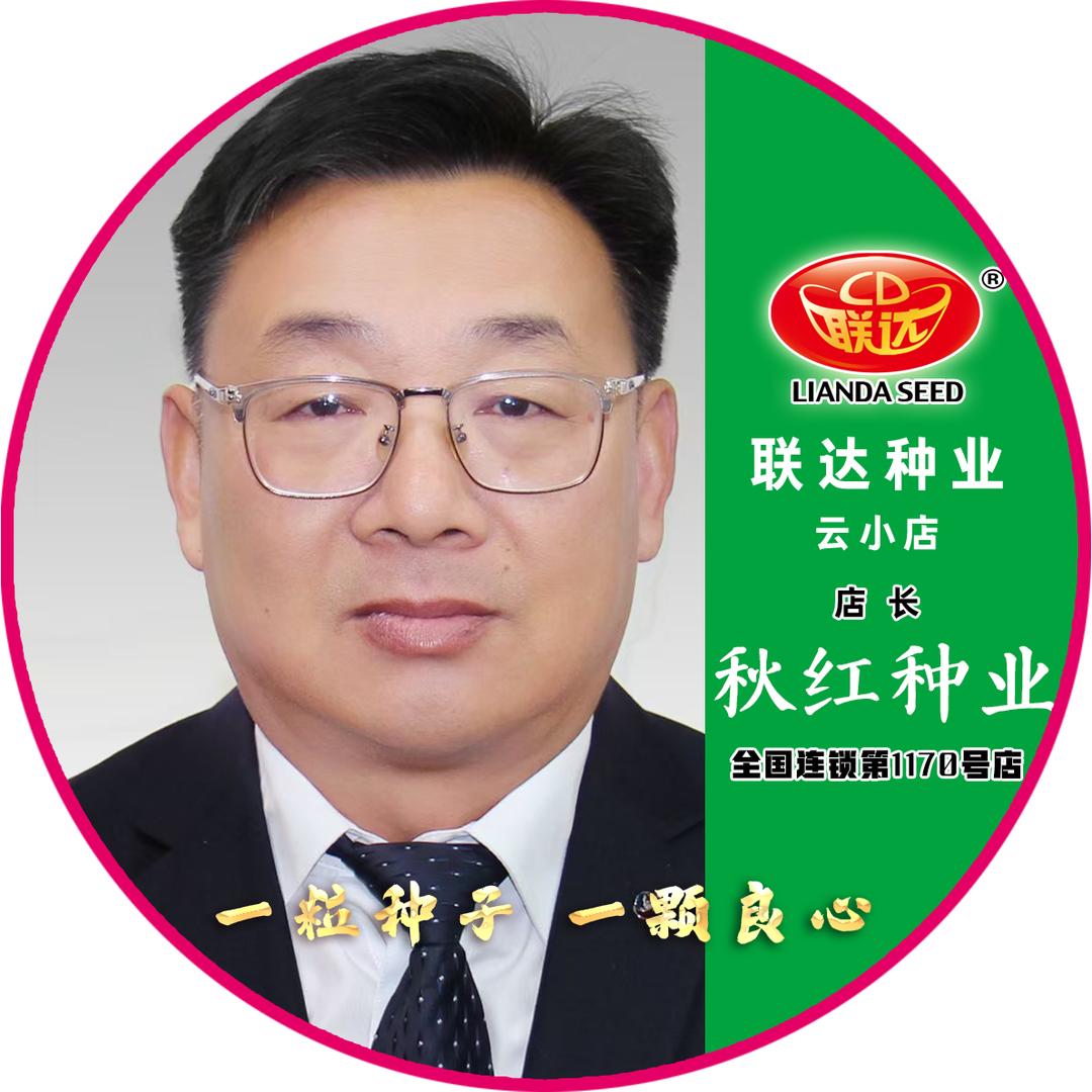 联达昌图云小店-李向南