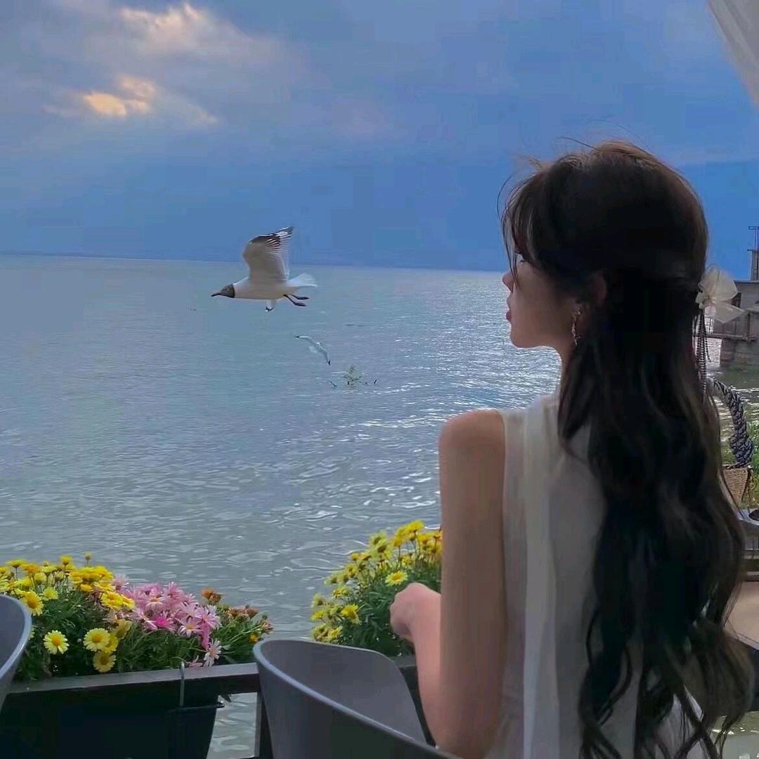 星儿✨