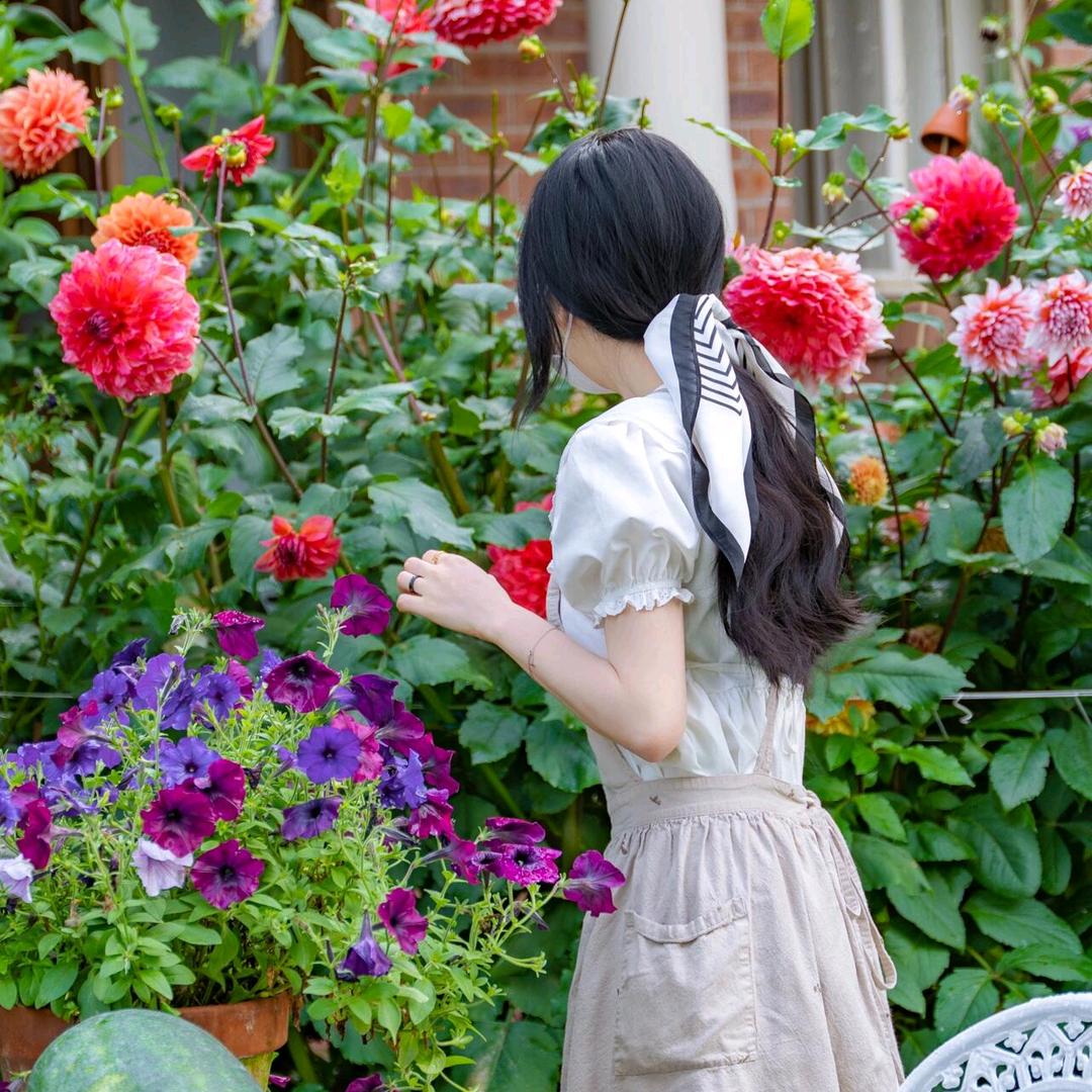 花韵