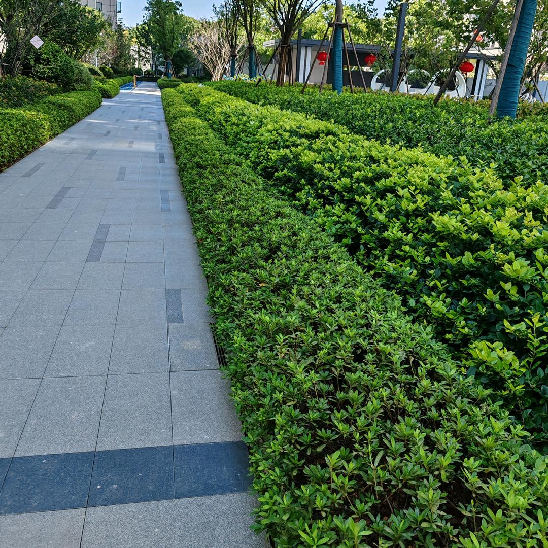 湖南恒嘉逸园林