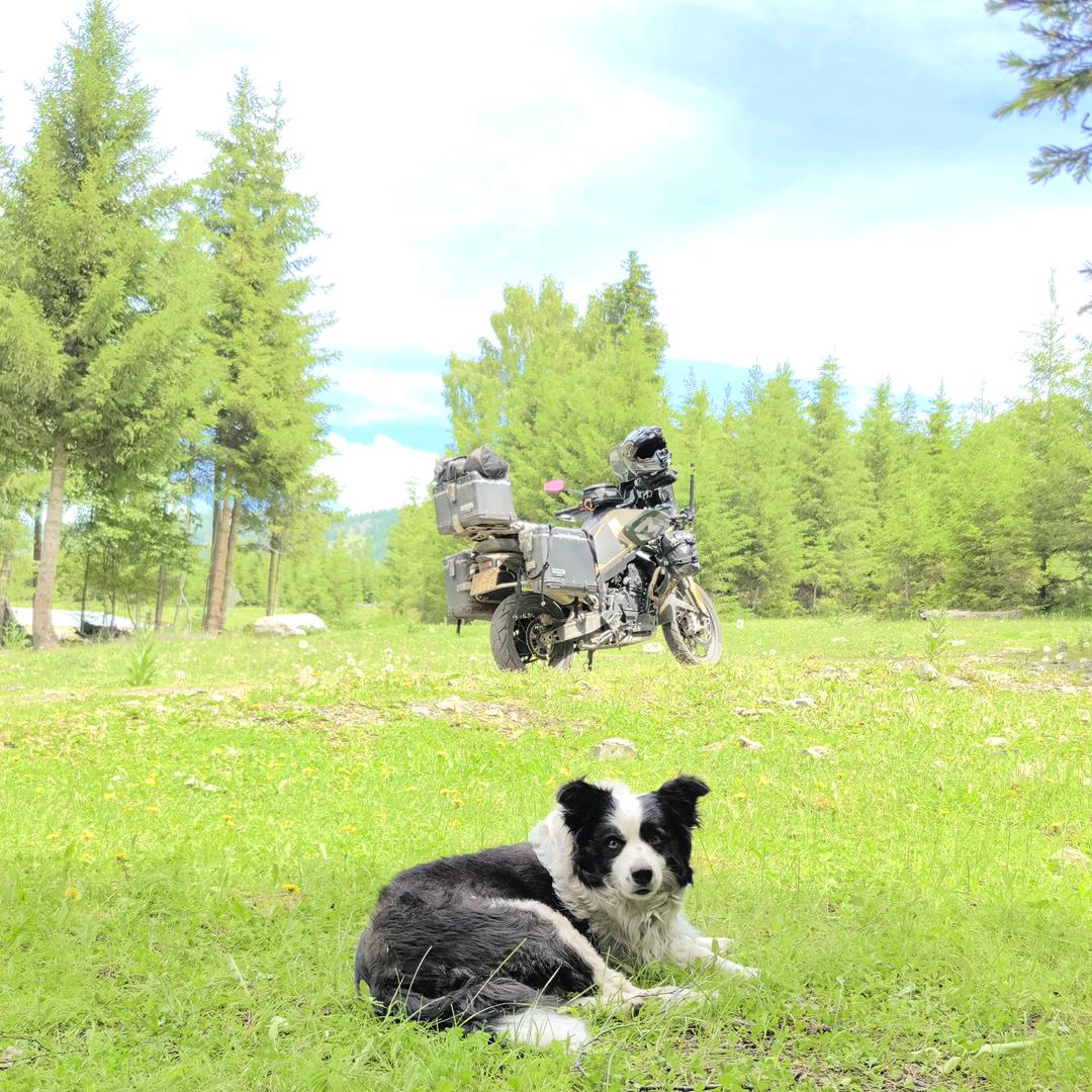 富多余（梦想环华）