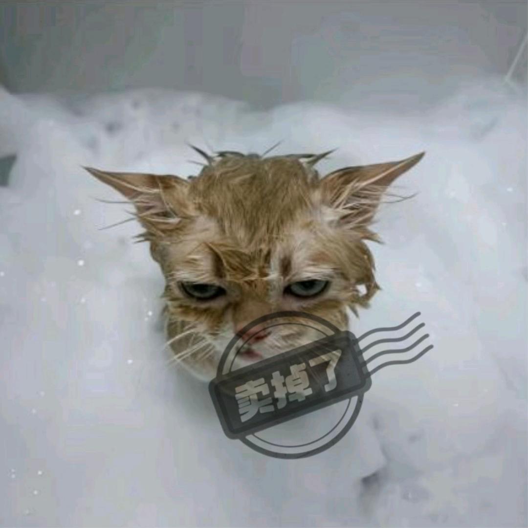 舔墙皮补钙
