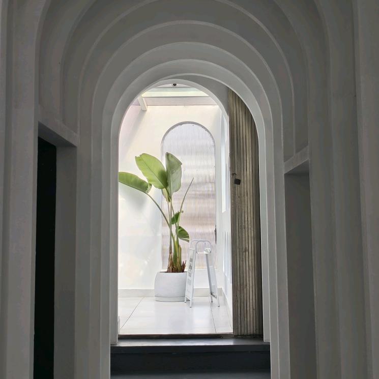 爱穿紧身衣的t-bag