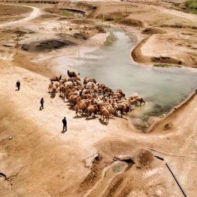 新疆皮山县塞图拉镇