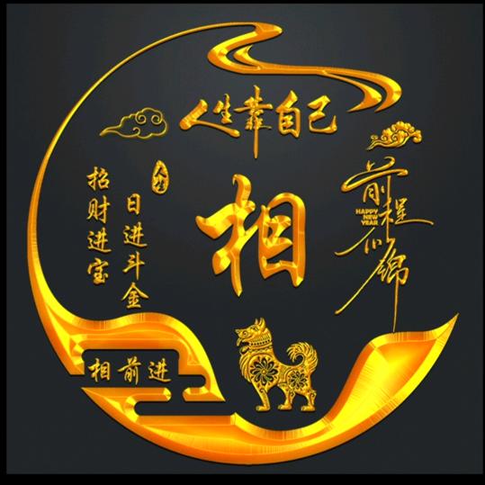 9.6冷藏全国专线《相前进》