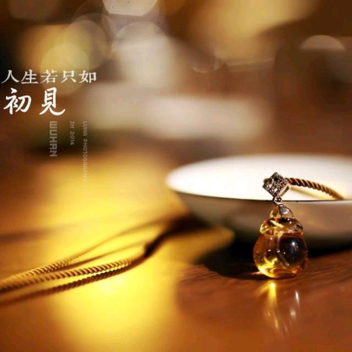 人生若只如初见