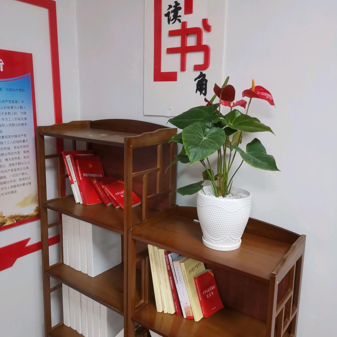 闽北小子
