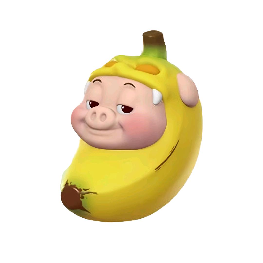 次埃·须库恩