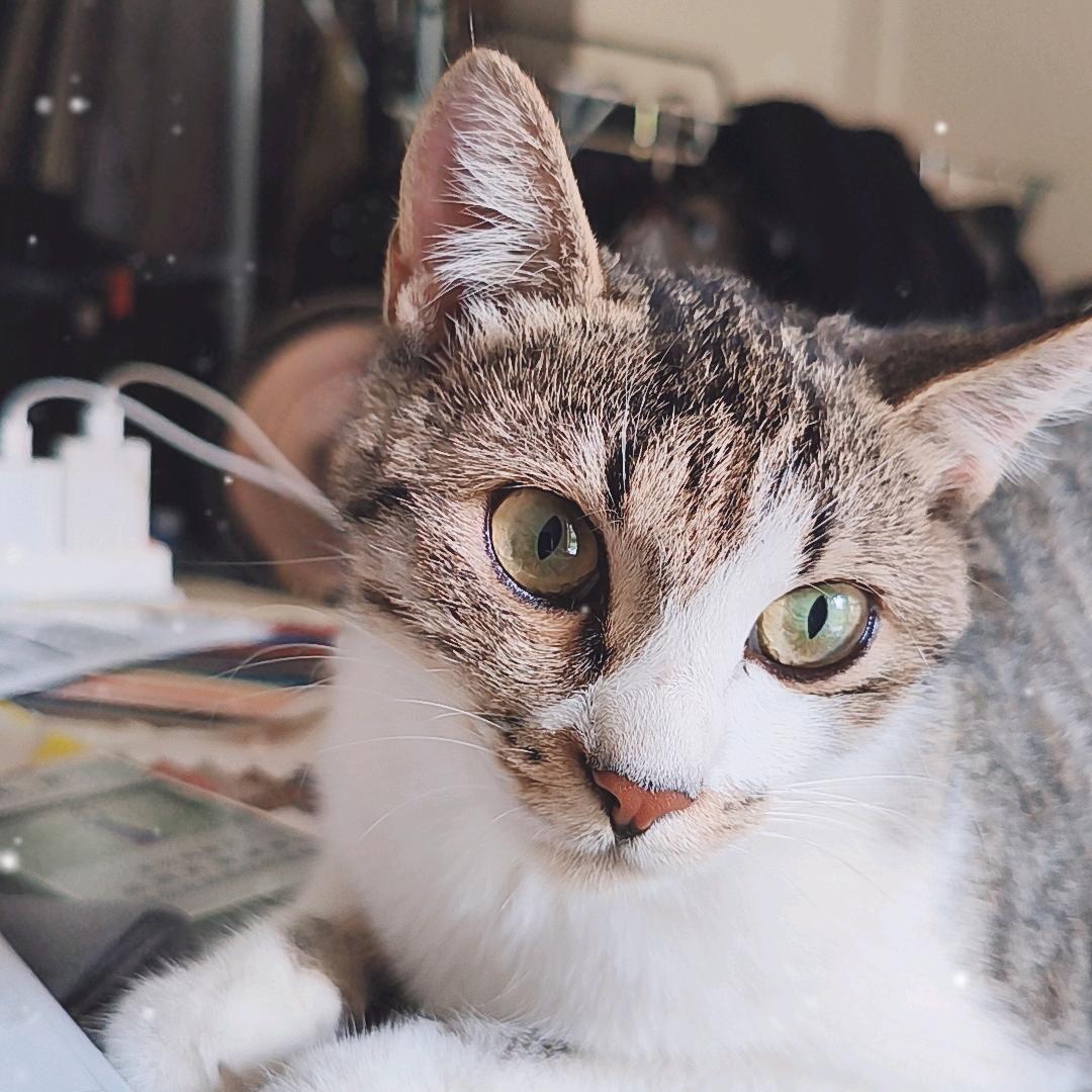 ~~~∵丑刀刀∵~~~