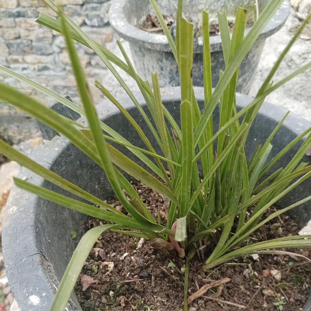 真心寻找有缘人💖