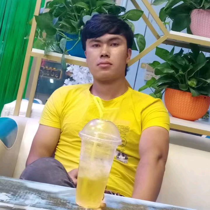 PAYZULLA