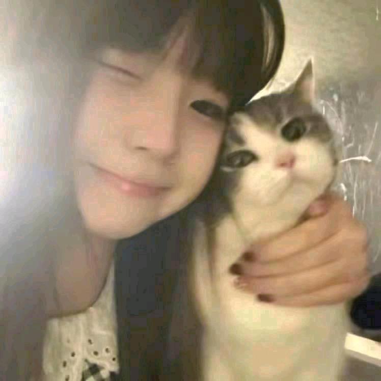 小魚