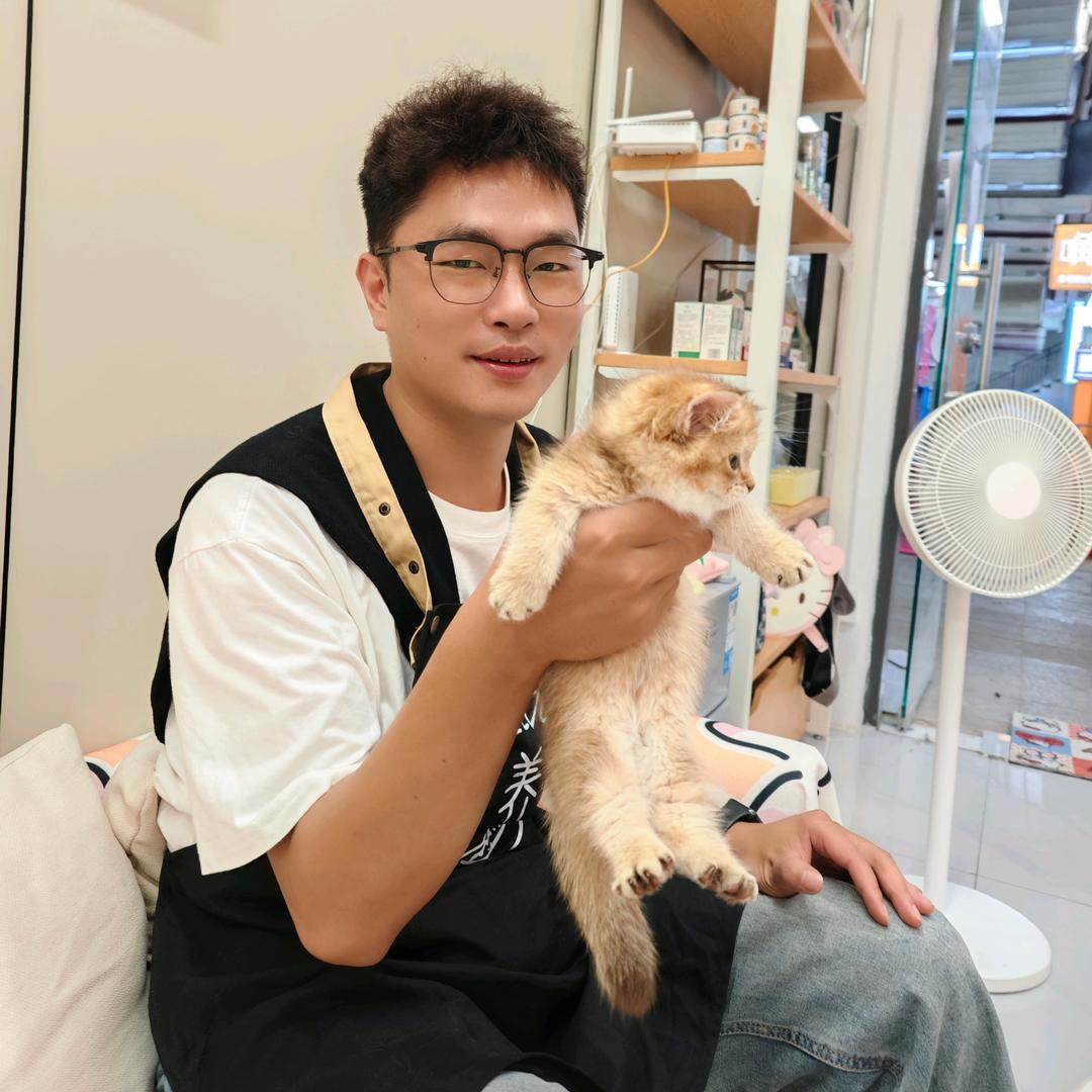 小清风的胖猫